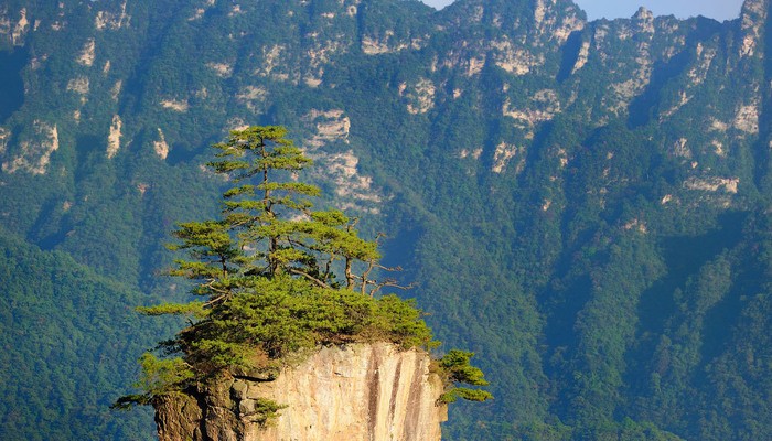 Zhangjiajie national forest park