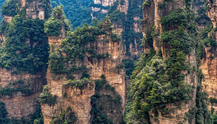 Zhangjiajie national forest park