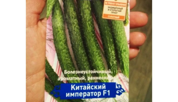 огурец