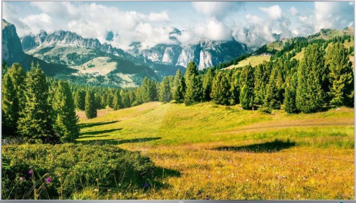 TCL L65P6US 65”