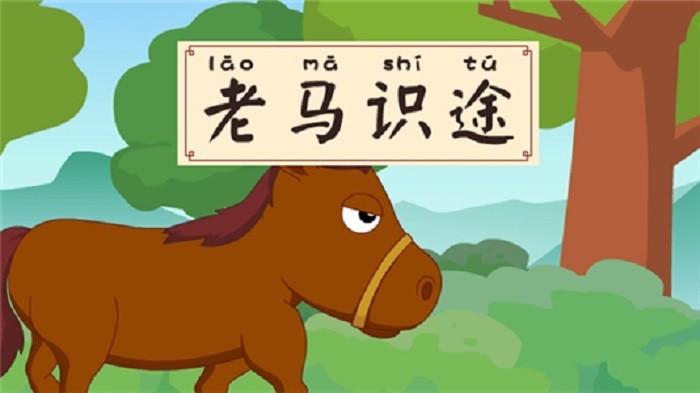 老马识途