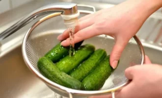 огурцы