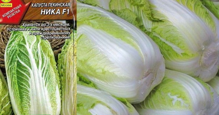 Ника