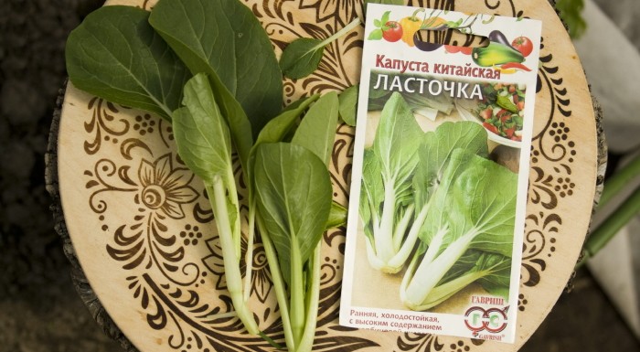  Капуста пак Чой Ласточка