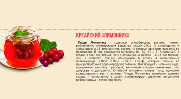 Лимонник для давления